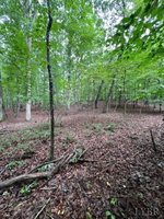 0 Woodvue Drive, Madison Heights, VA 24572