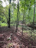 0 Woodvue Drive, Madison Heights, VA 24572