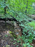 0 Woodvue Drive, Madison Heights, VA 24572