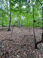 0 Woodvue Drive, Madison Heights, VA 24572