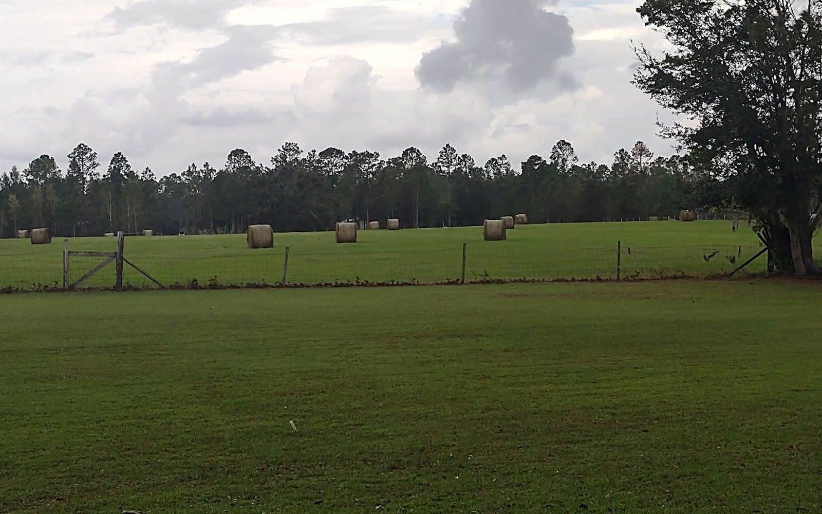 16535 38th Street, Live Oak, FL 32060