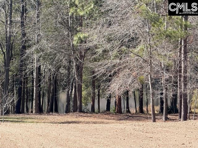 125 Living Waters, Lexington, SC 29073