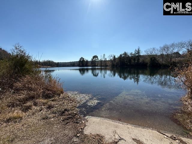 125 Living Waters, Lexington, SC 29073