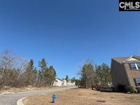 125 Living Waters, Lexington, SC 29073