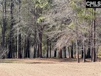 125 Living Waters, Lexington, SC 29073