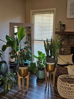 1310 Woodgren Court, Columbus, GA 31906