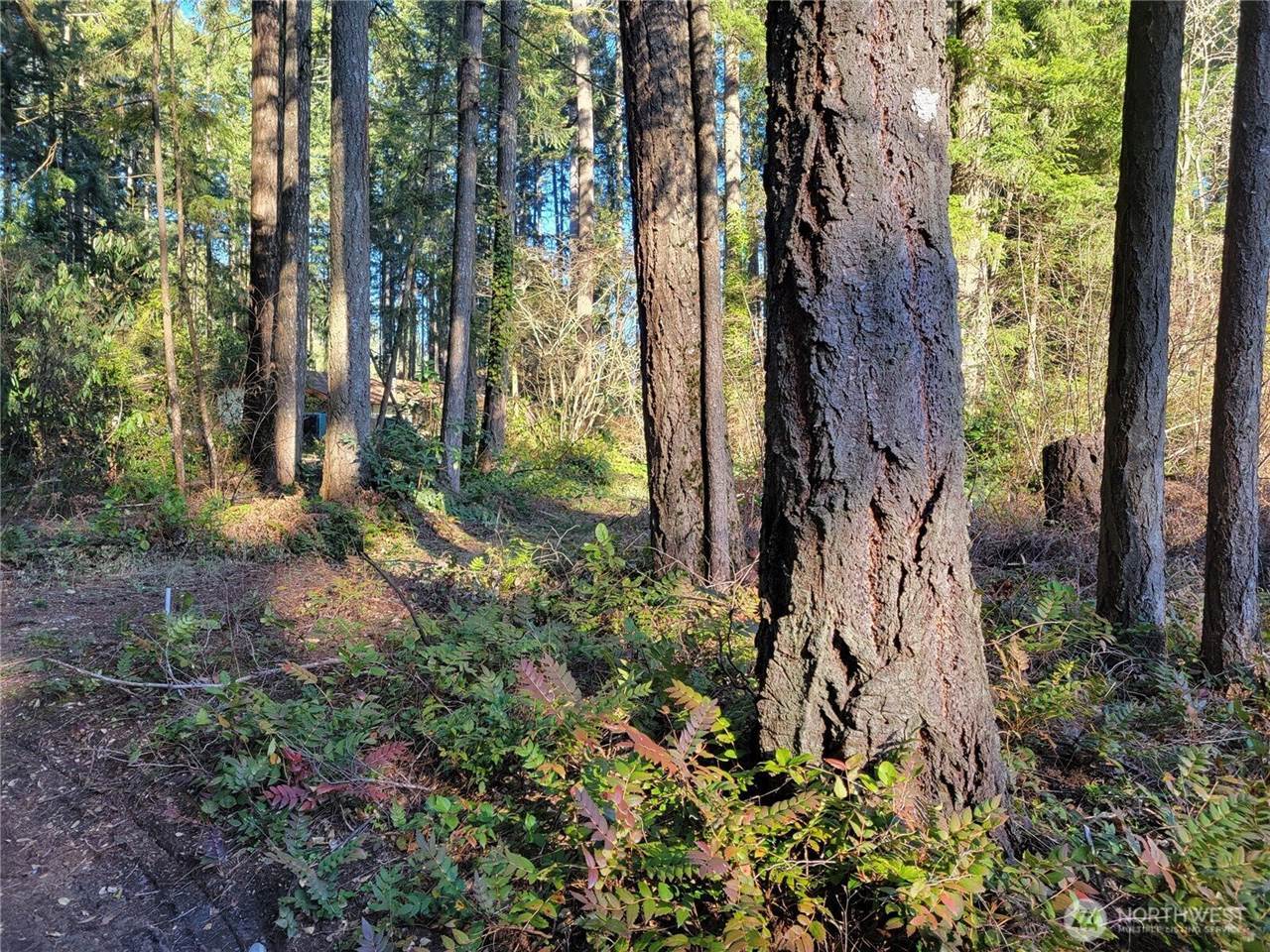 13807 Pinehurst Lane NW, Gig Harbor, WA 98329