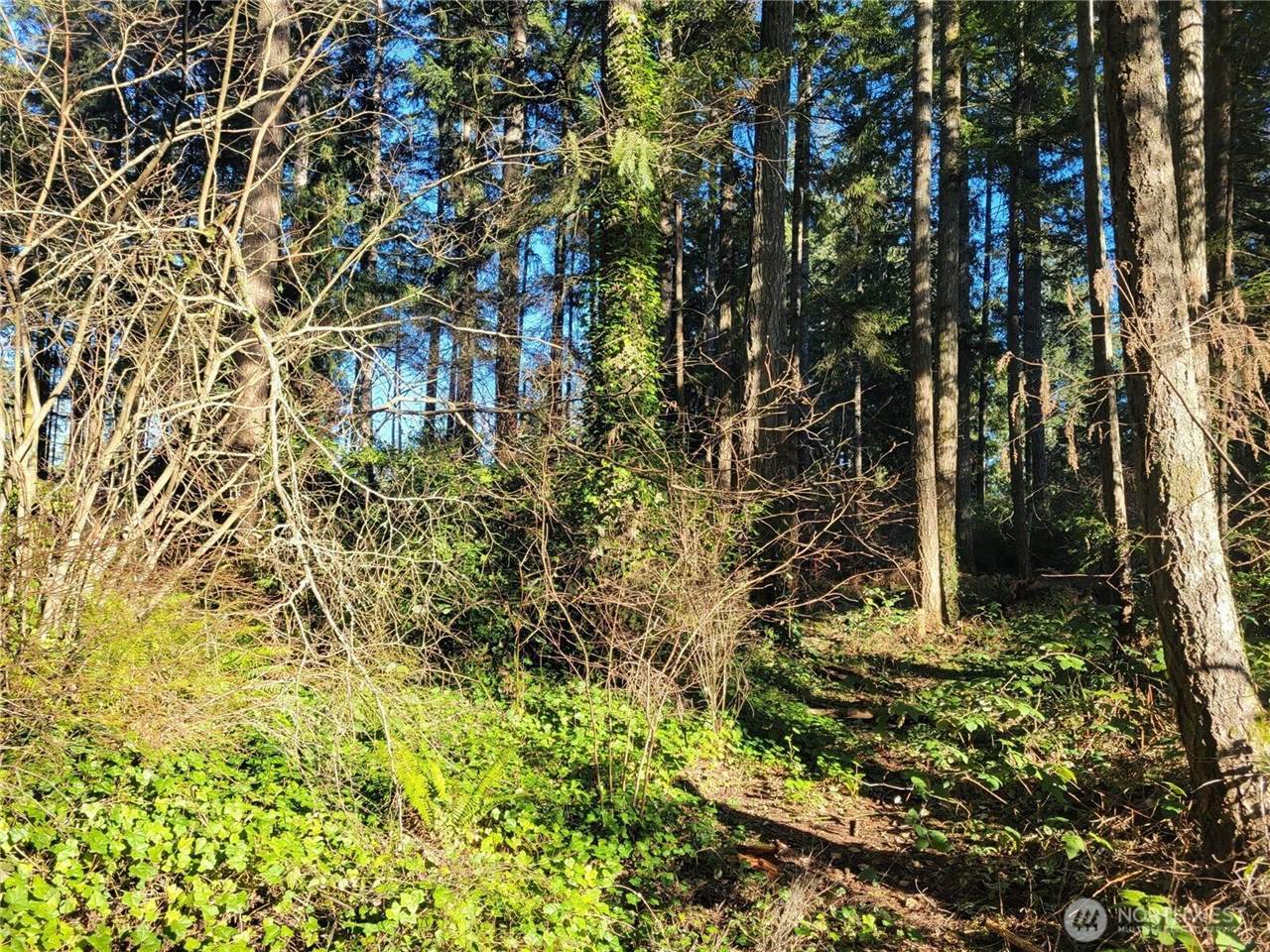 13807 Pinehurst Lane NW, Gig Harbor, WA 98329