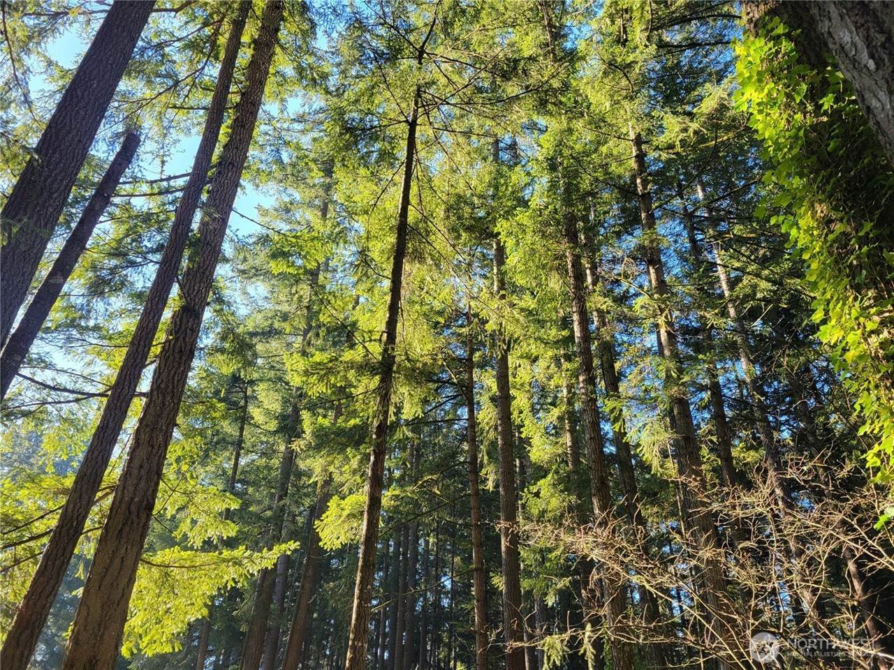 13807 Pinehurst Lane NW, Gig Harbor, WA 98329