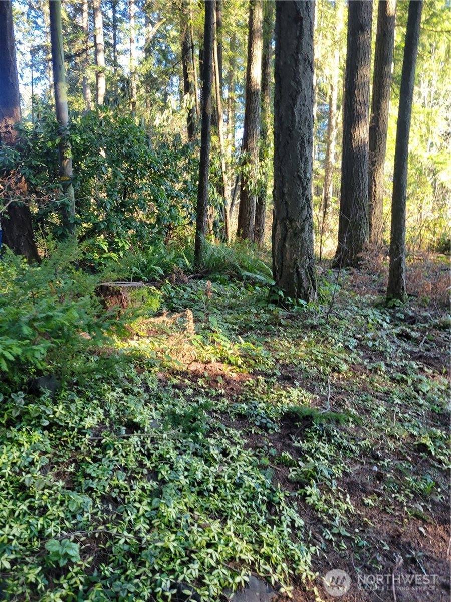 13807 Pinehurst Lane NW, Gig Harbor, WA 98329