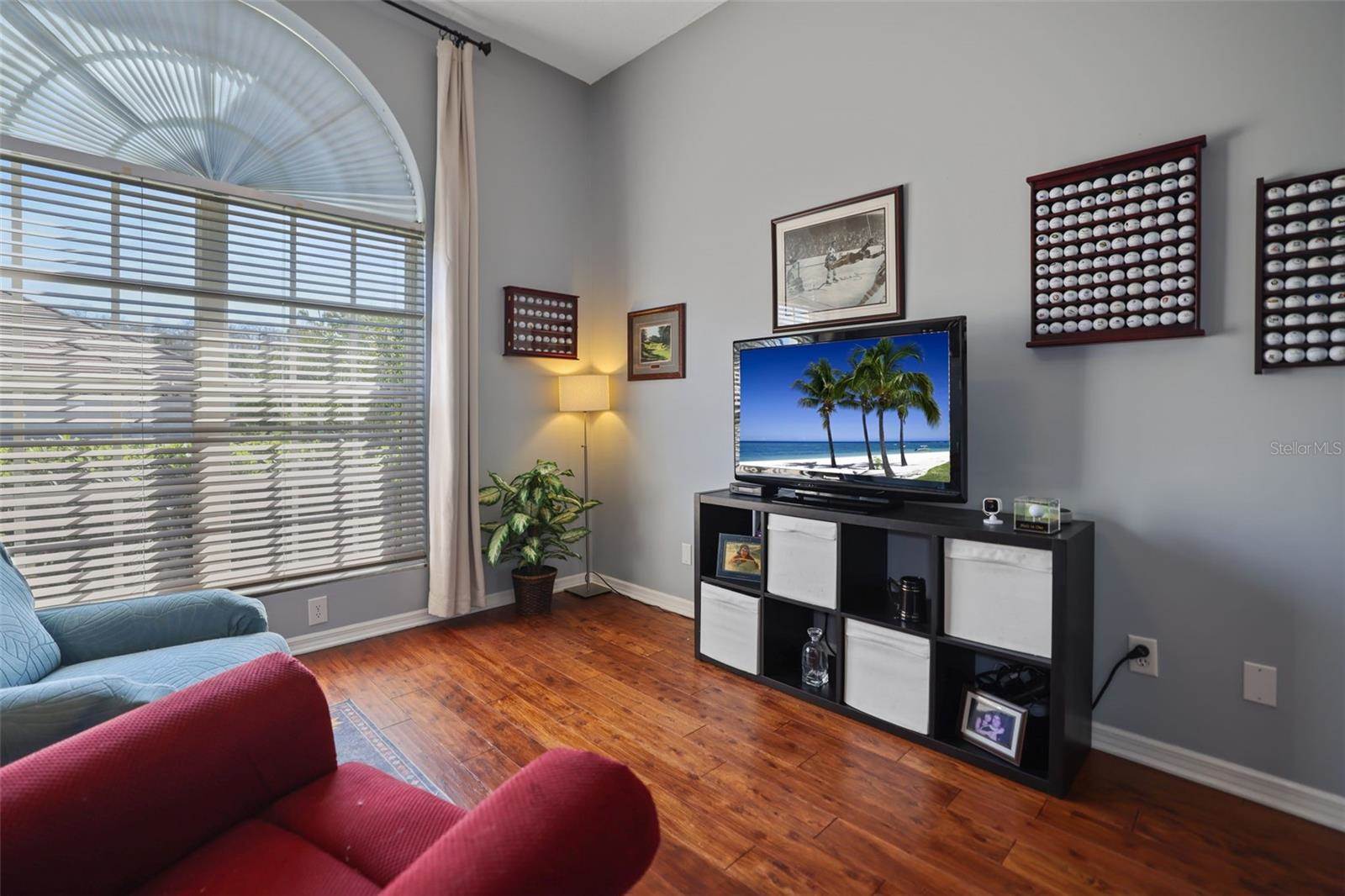 1354 Forestedge Boulevard, Oldsmar, FL 34677