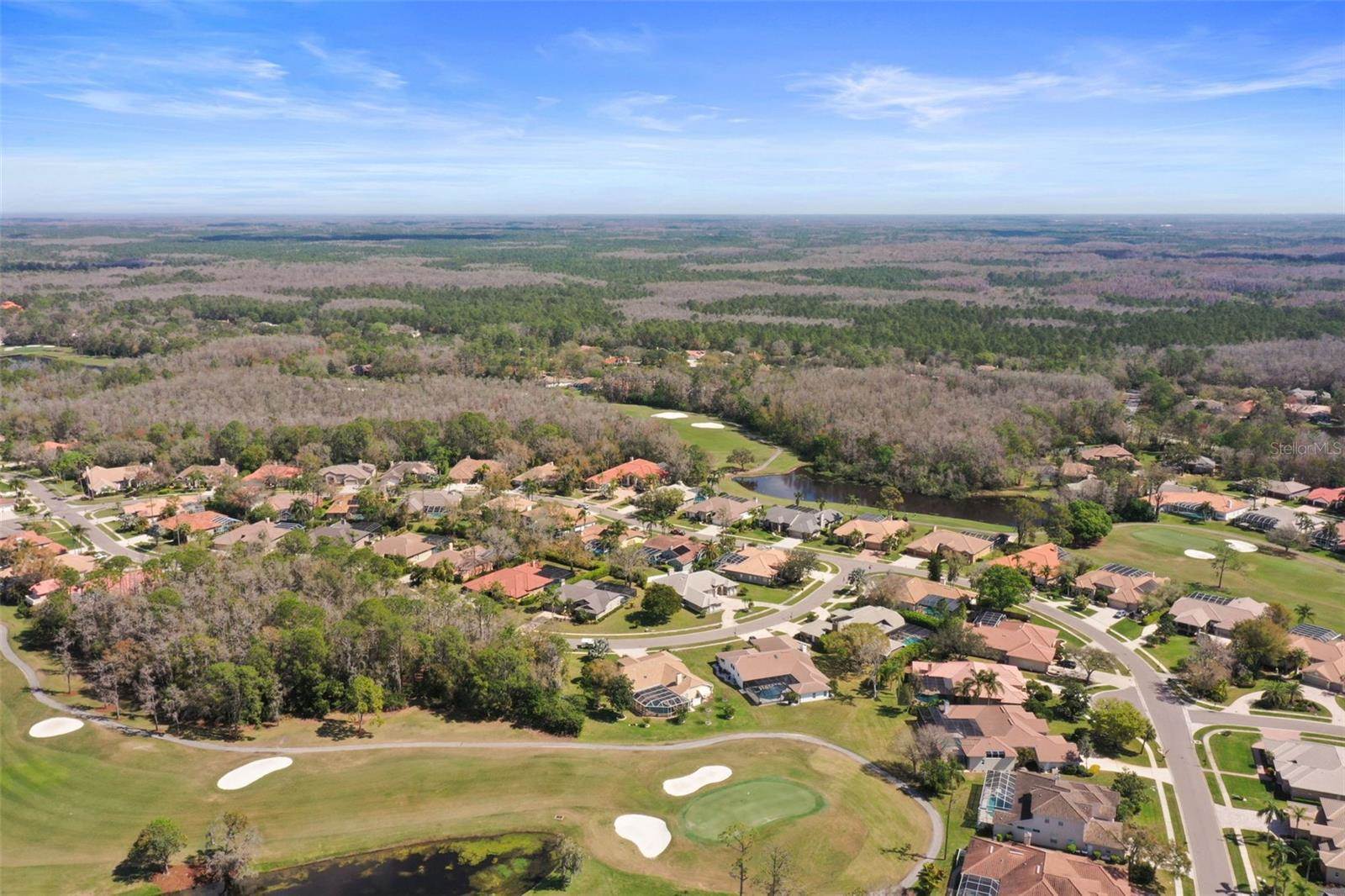 1354 Forestedge Boulevard, Oldsmar, FL 34677