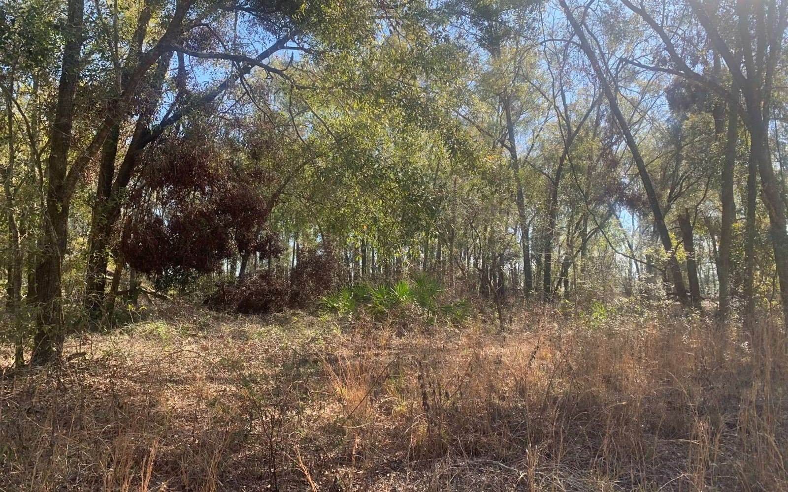 TBD 131st Drive, OBrien, FL 32071