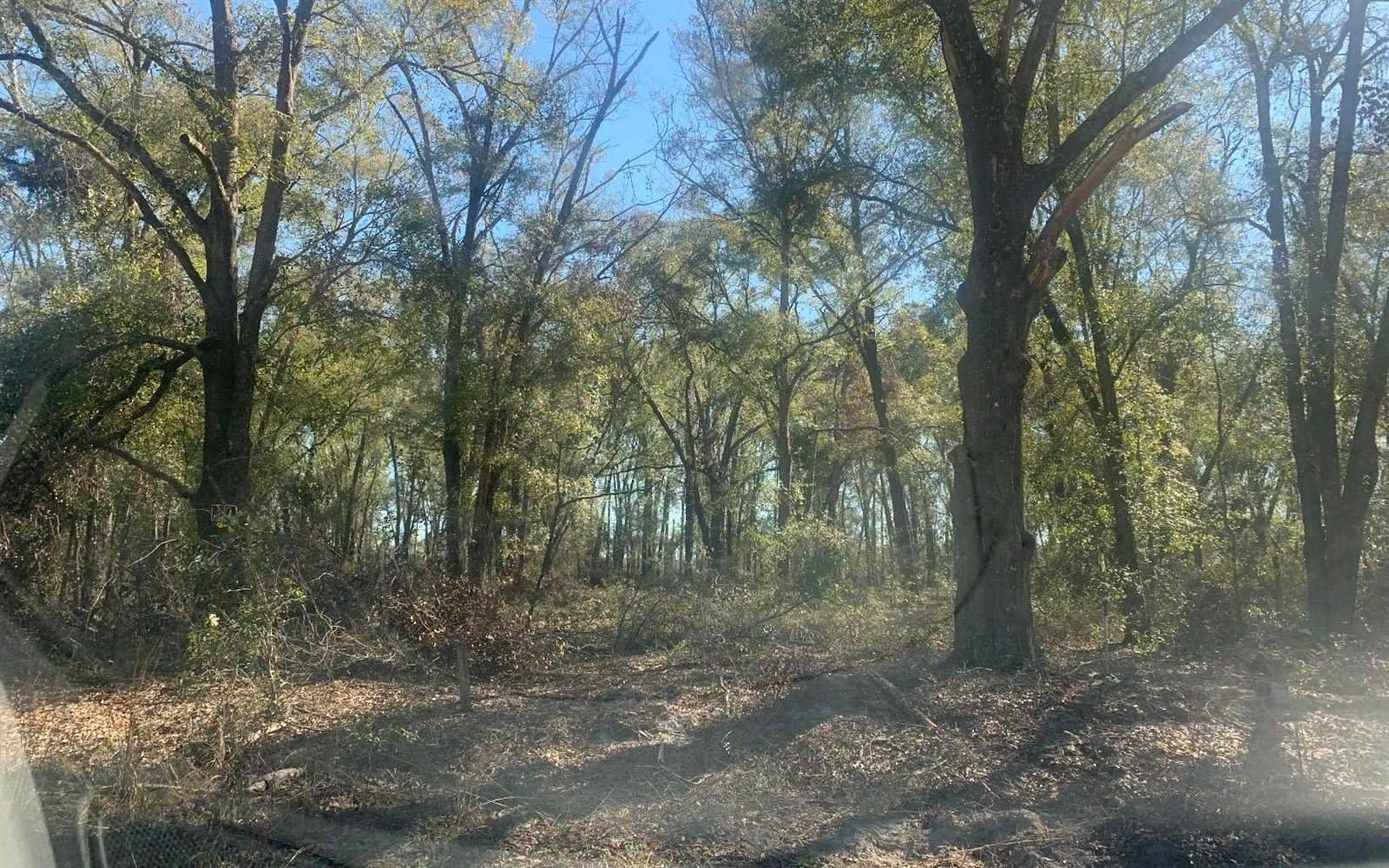 TBD 131st Drive, OBrien, FL 32071