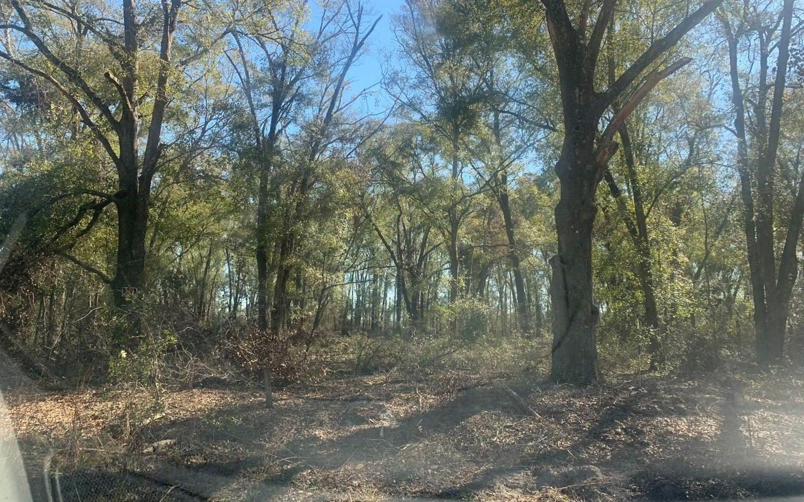 TBD 131st Drive, OBrien, FL 32071