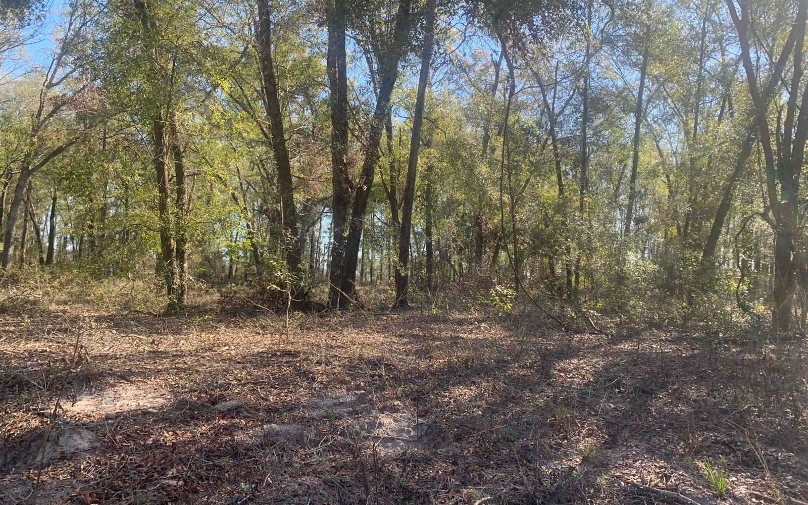 TBD 131st Drive, OBrien, FL 32071