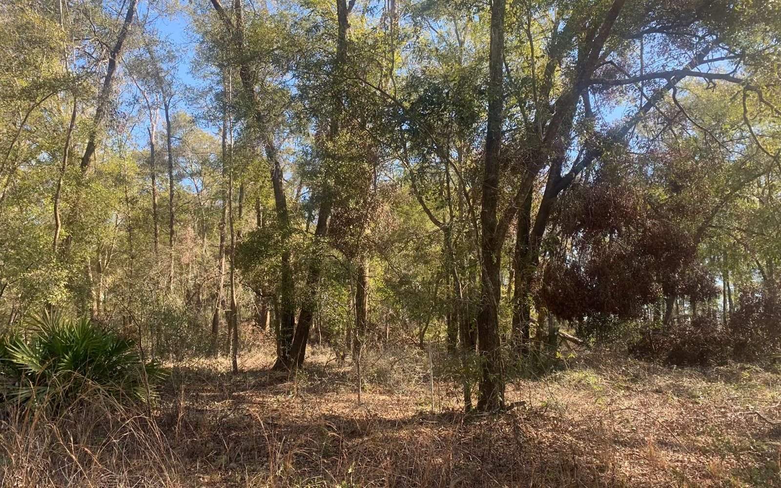 TBD 131st Drive, OBrien, FL 32071