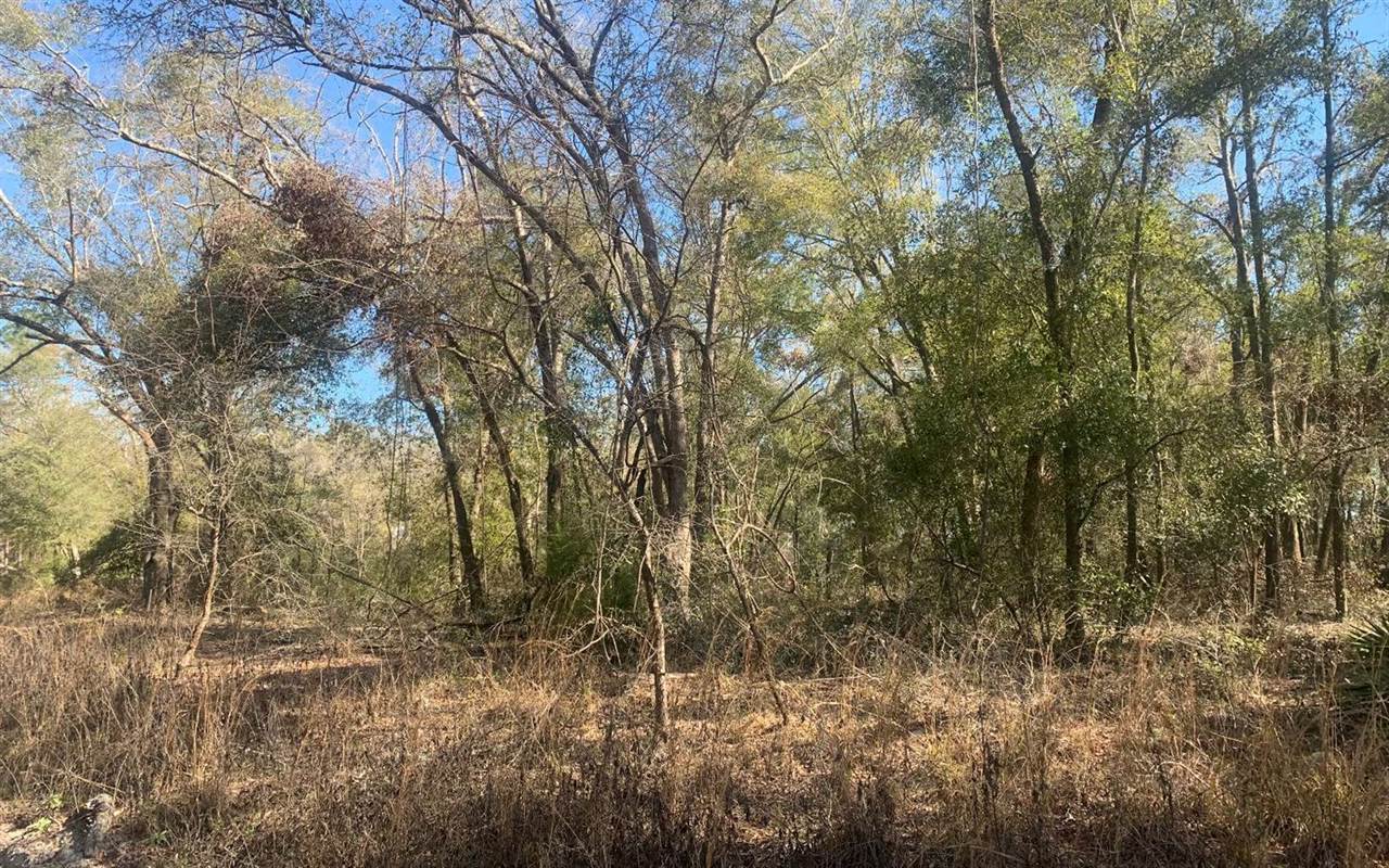 TBD 131st Drive, OBrien, FL 32071