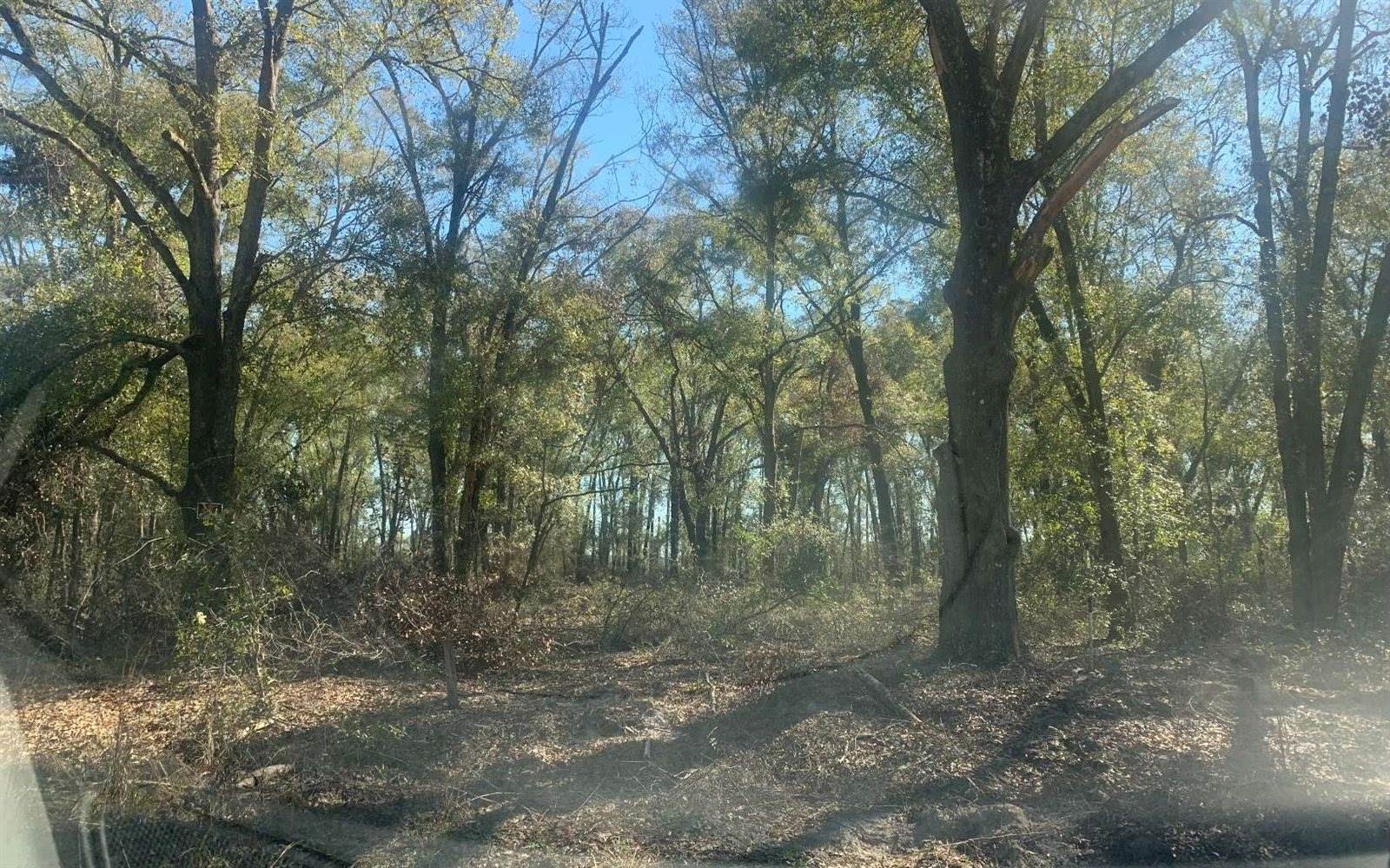 TBD 131st Drive, OBrien, FL 32071