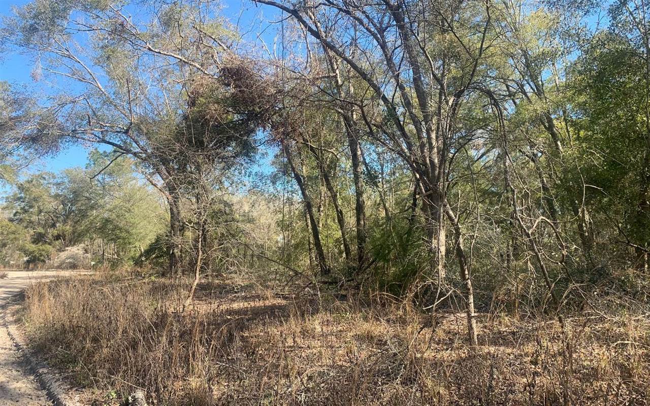 TBD 131st Drive, OBrien, FL 32071