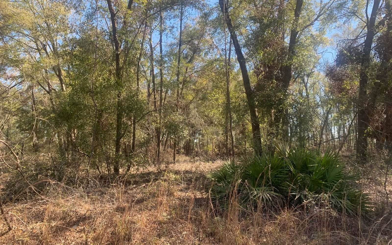 TBD 131st Drive, OBrien, FL 32071