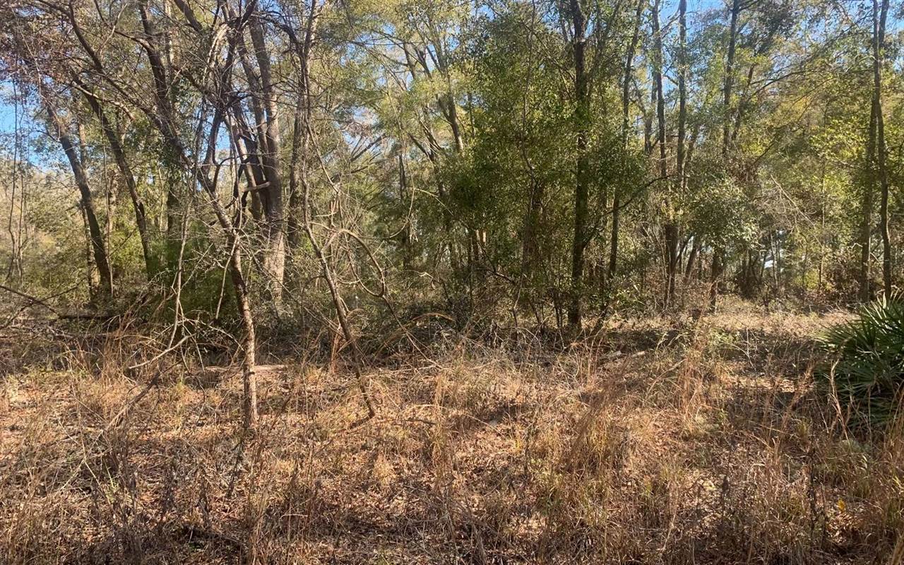 TBD 131st Drive, OBrien, FL 32071