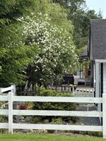 23925 Goldie Lane, Mount Vernon, WA 98273