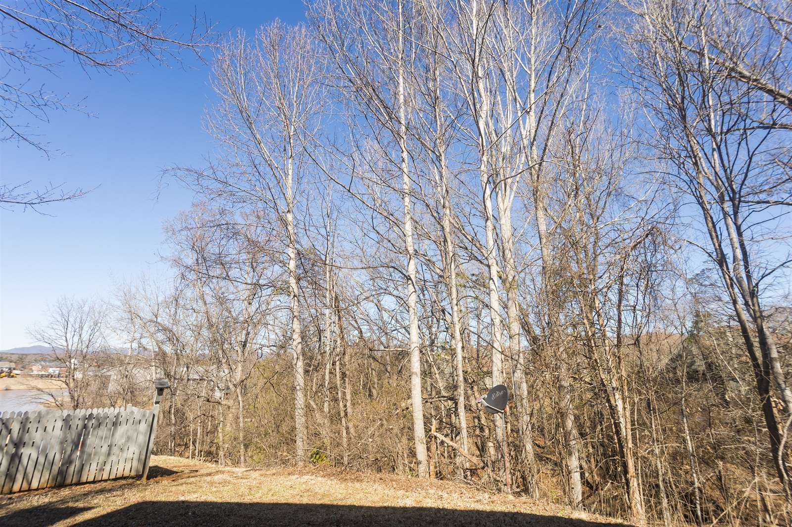 412 Oak Point Rd., Forest, VA 24551