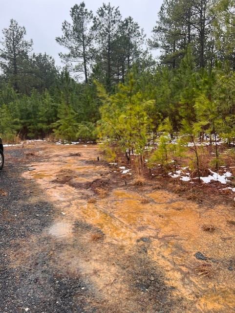 3575 Lombardy Rd, Mascot, VA 23108