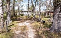 7910 SW 25th Place, Bell, FL 32619