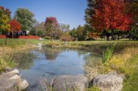 4728 Secret Garden Drive, Mcfarland, WI 53558