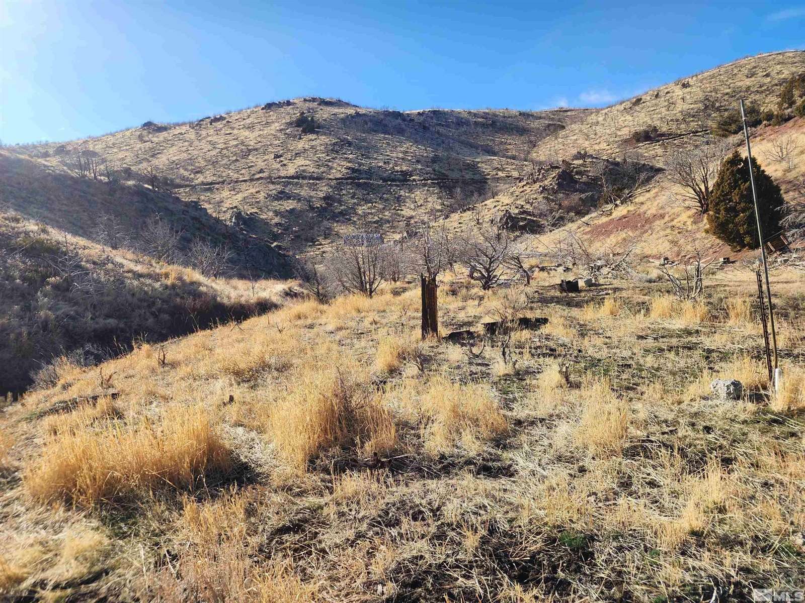 1800 Wrangler Rd Road, Reno, NV 89510