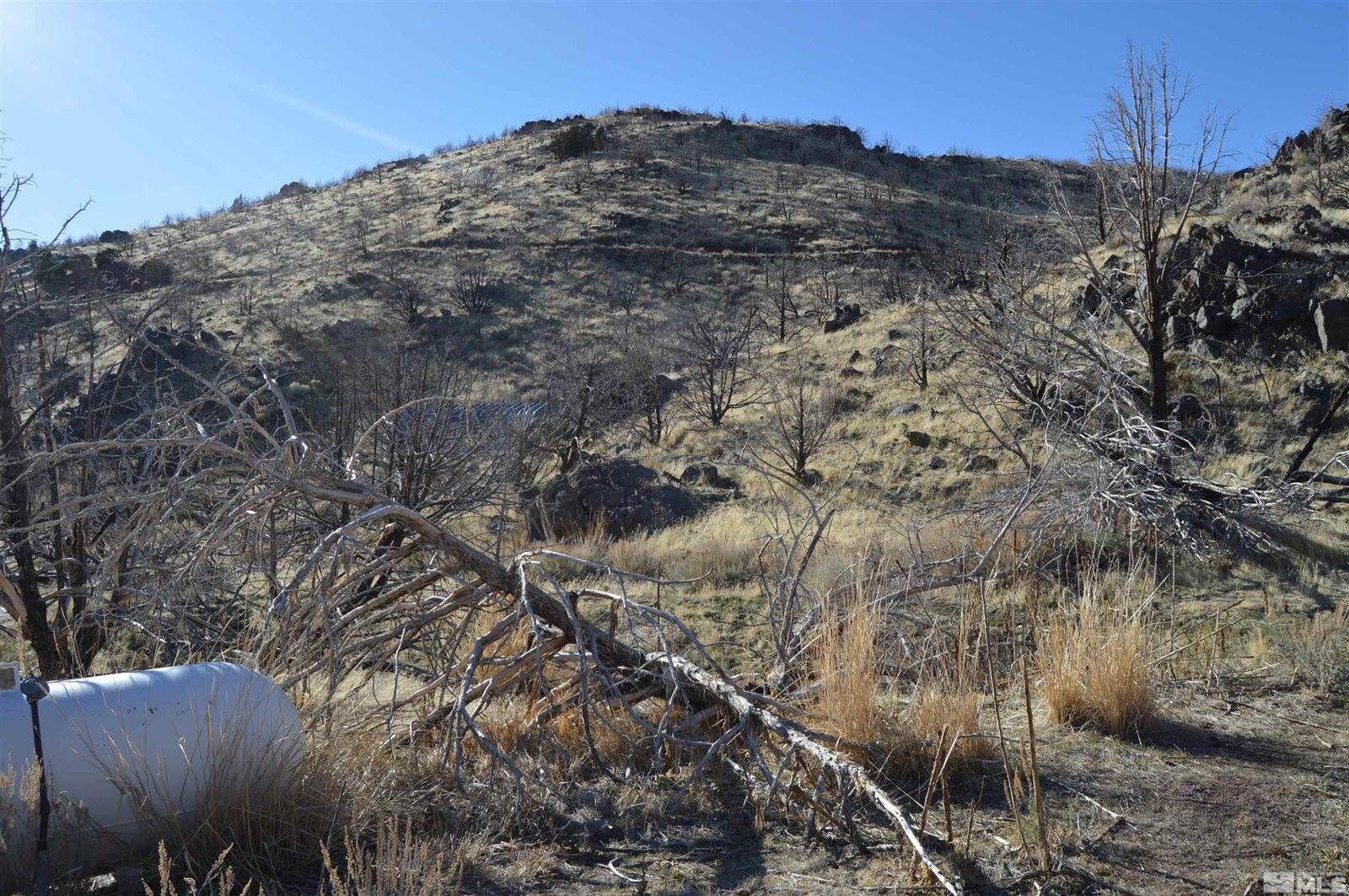 1800 Wrangler Rd Road, Reno, NV 89510