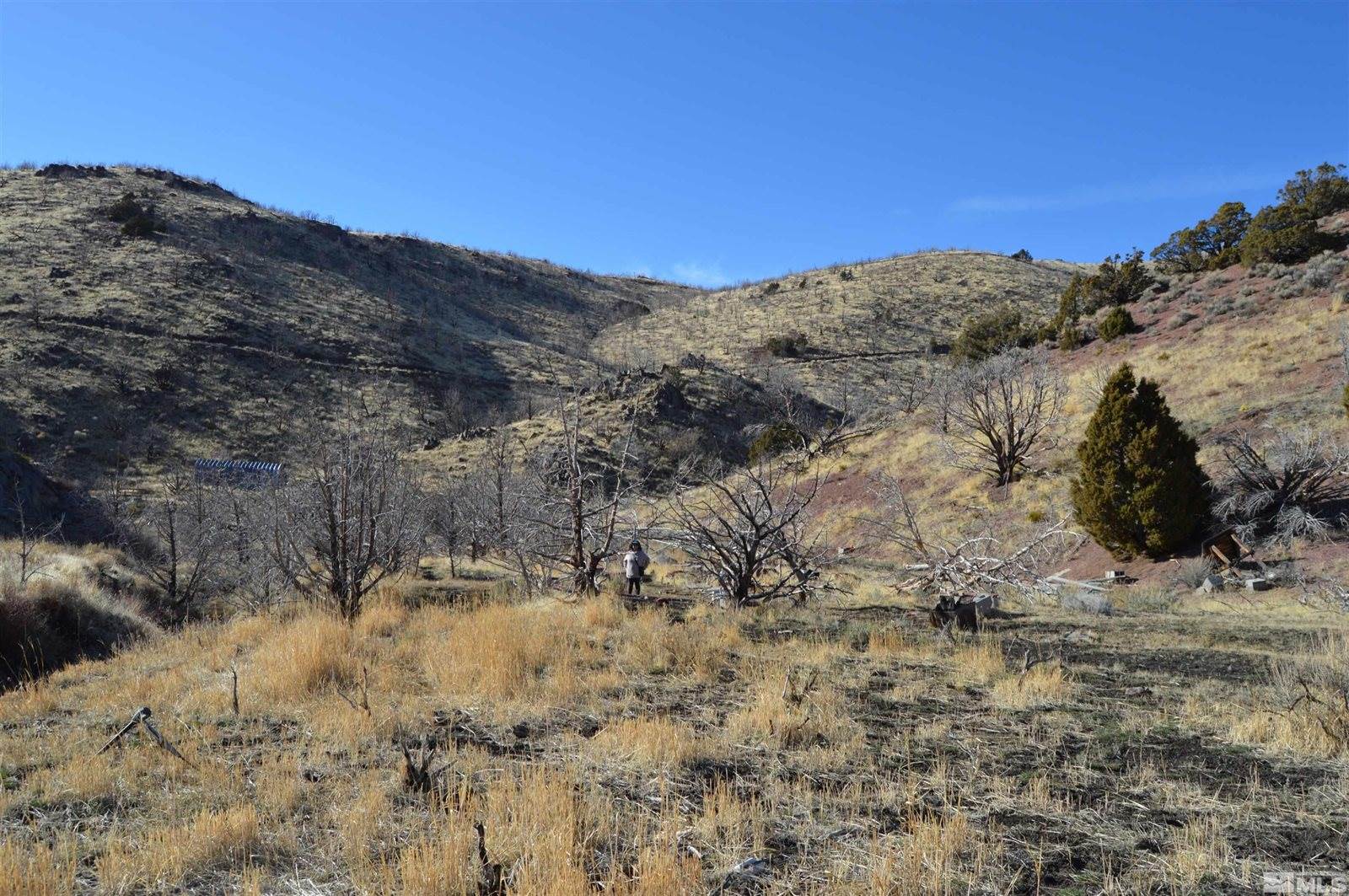 1800 Wrangler Rd Road, Reno, NV 89510