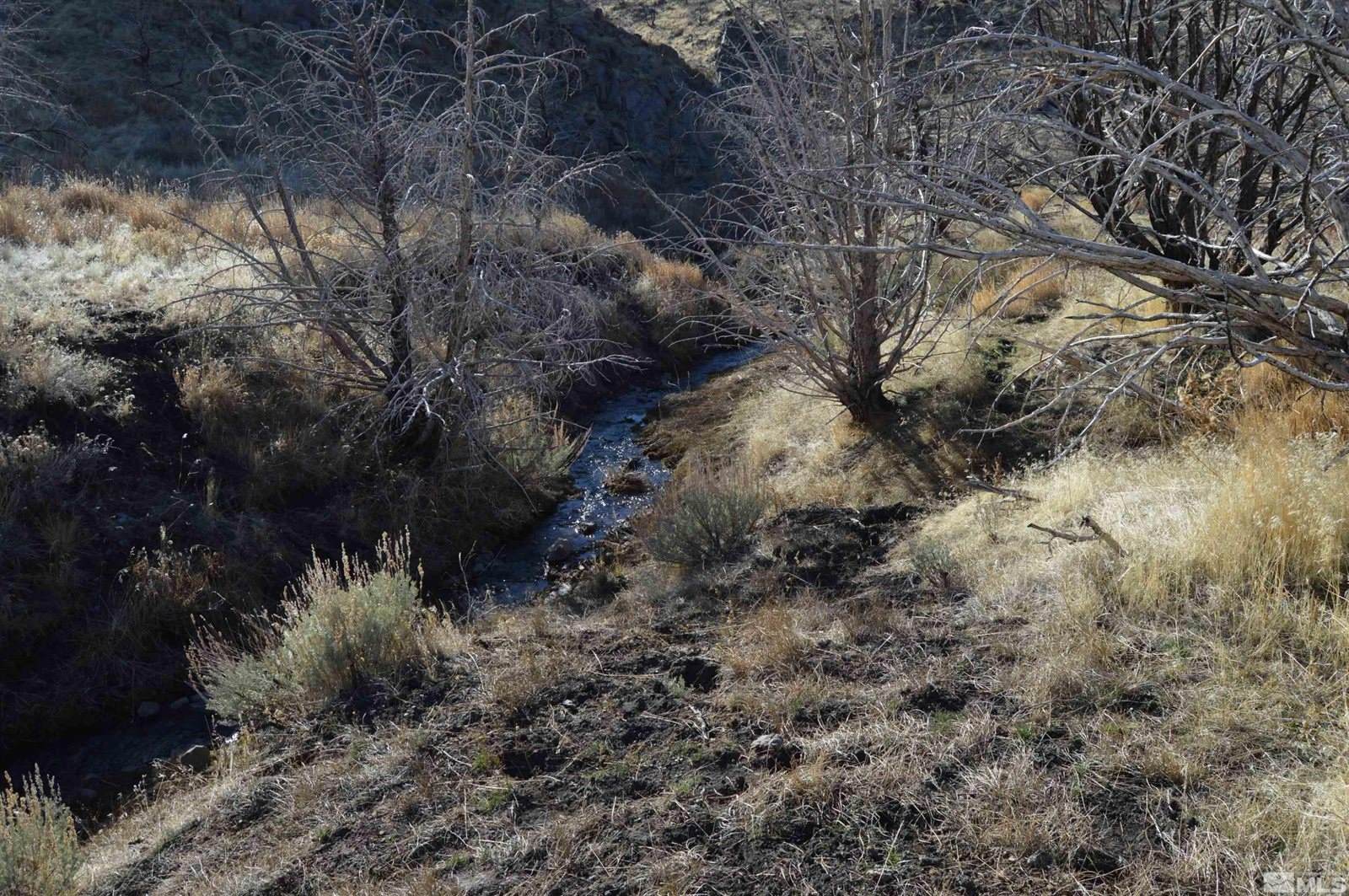 1800 Wrangler Rd Road, Reno, NV 89510