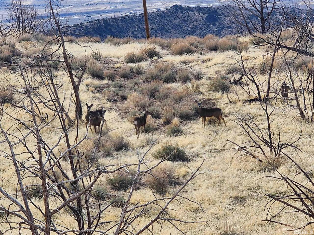 1800 Wrangler Rd Road, Reno, NV 89510