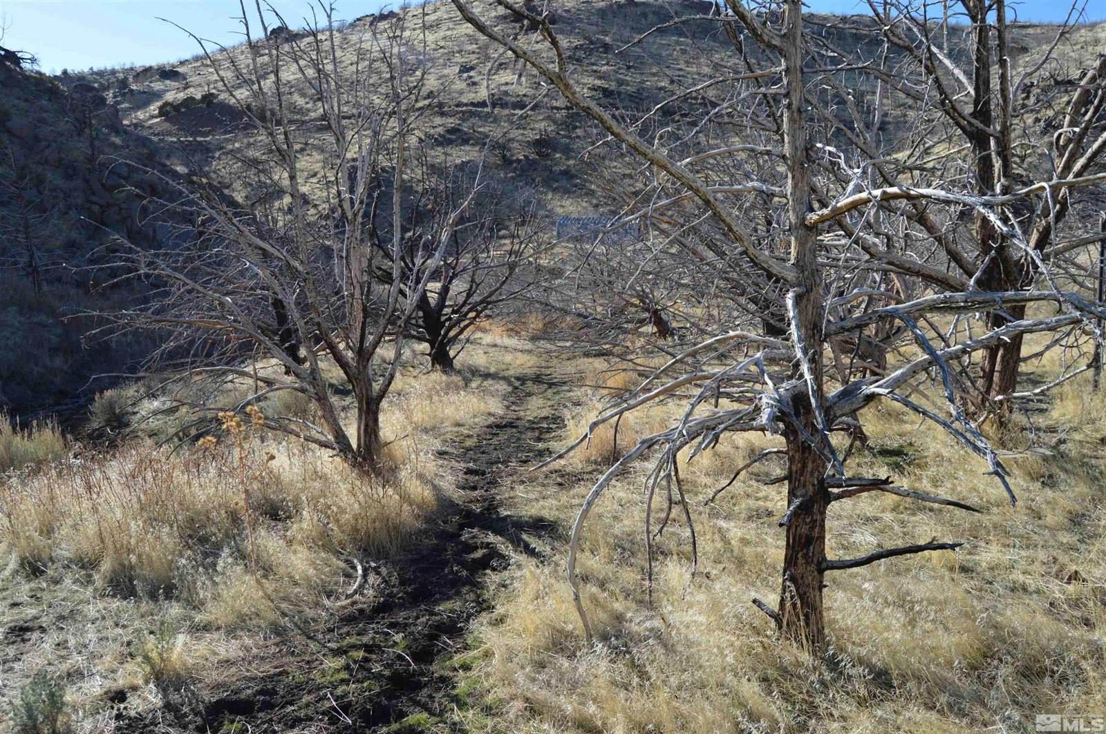 1800 Wrangler Rd Road, Reno, NV 89510