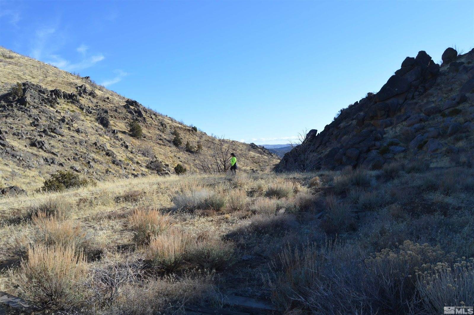 1800 Wrangler Rd Road, Reno, NV 89510