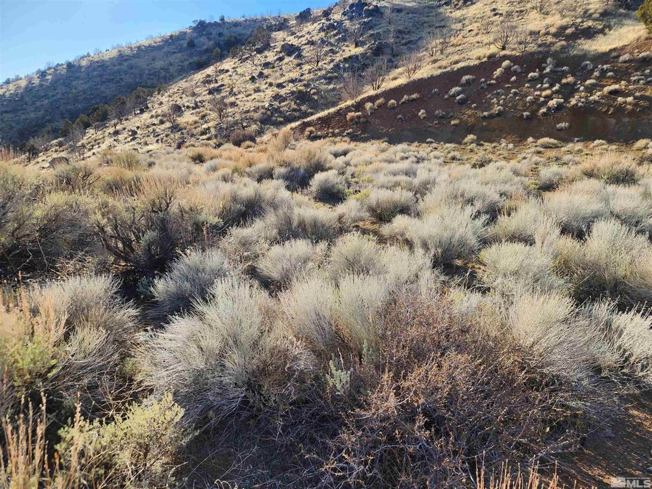 1800 Wrangler Rd Road, Reno, NV 89510