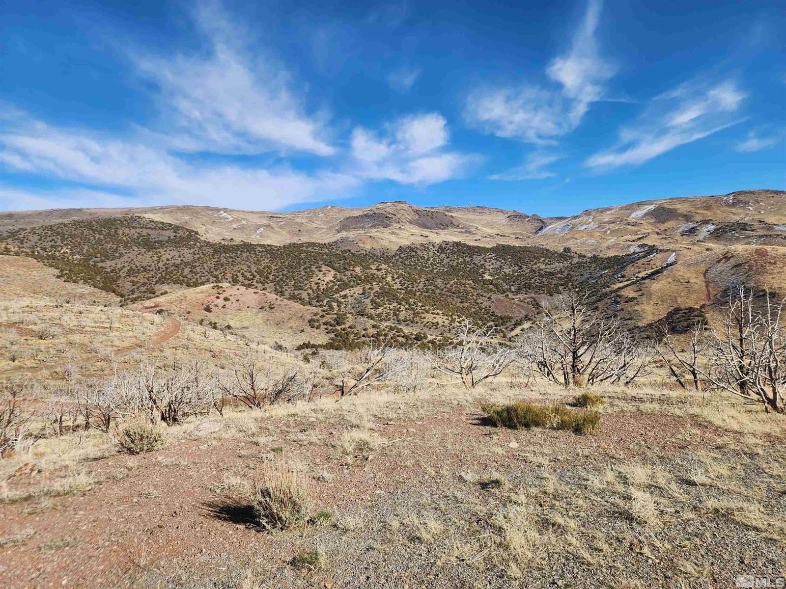 1800 Wrangler Rd Road, Reno, NV 89510