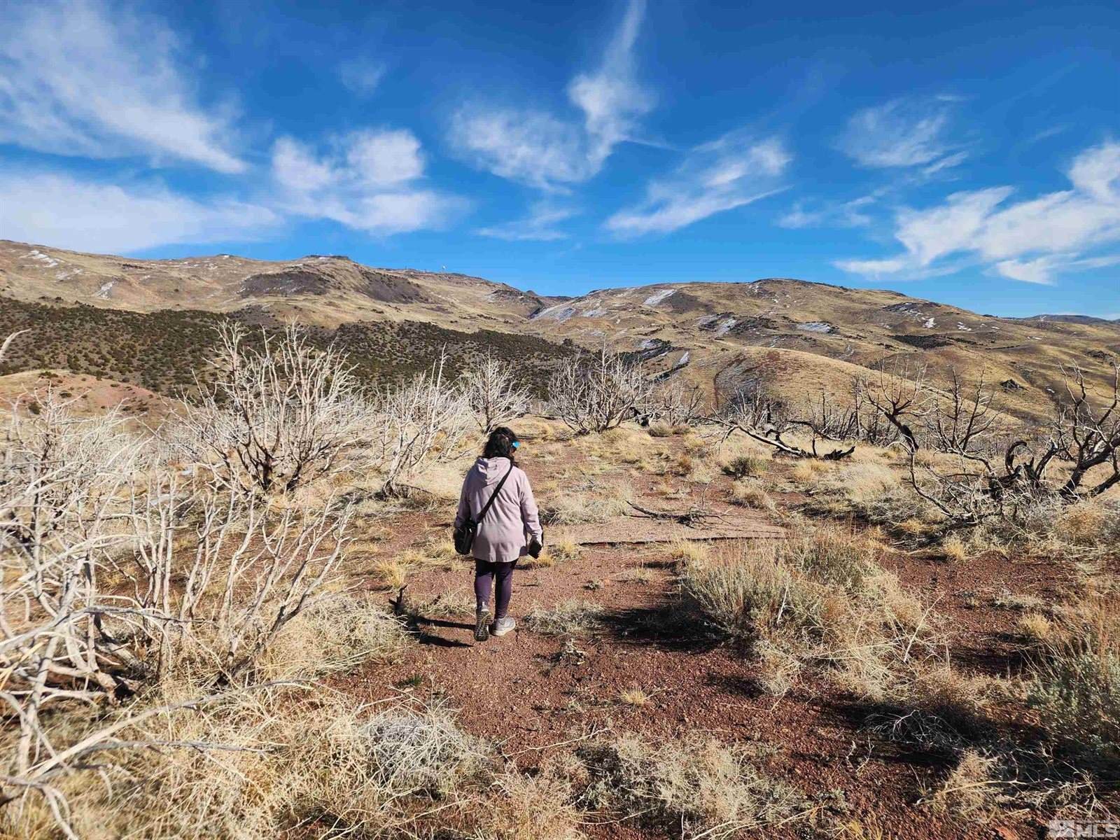 1700 Wrangler Road, Reno, NV 89510