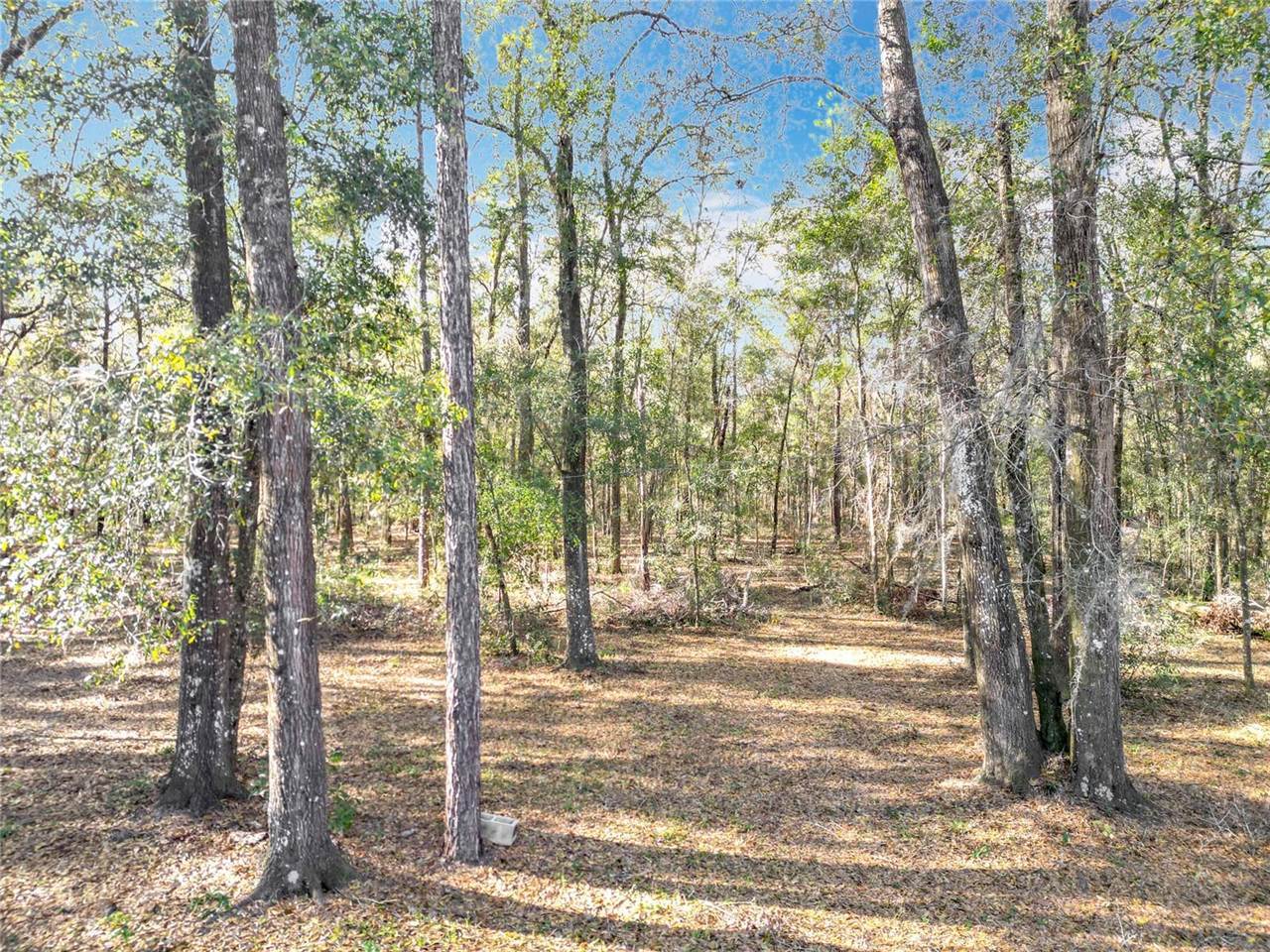 5150 SE 47th Court Road, Ocala, FL 34480