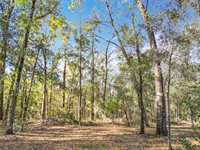 5150 SE 47th Court Road, Ocala, FL 34480