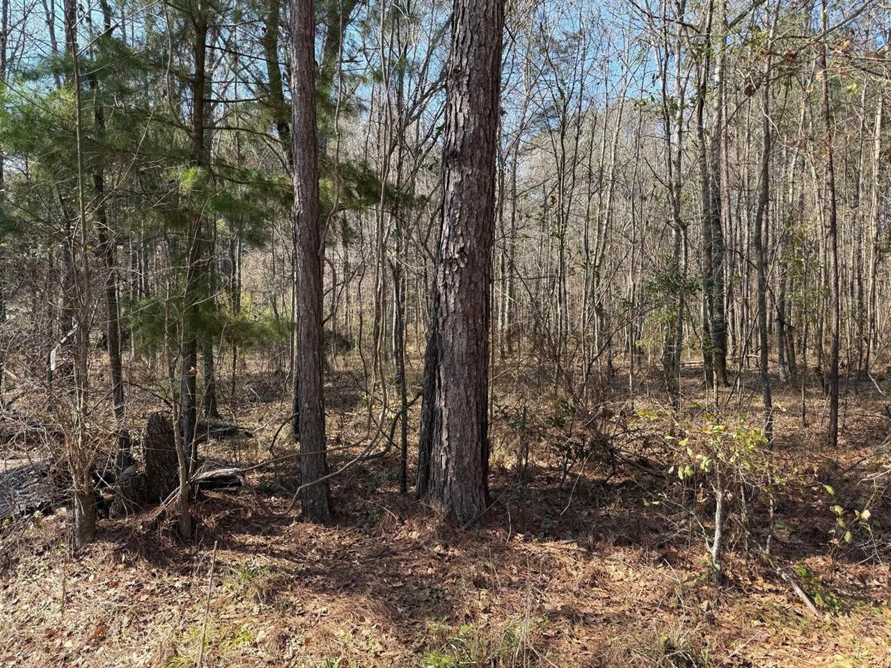 1443 Orangeburg Road, Summerville, SC 29483