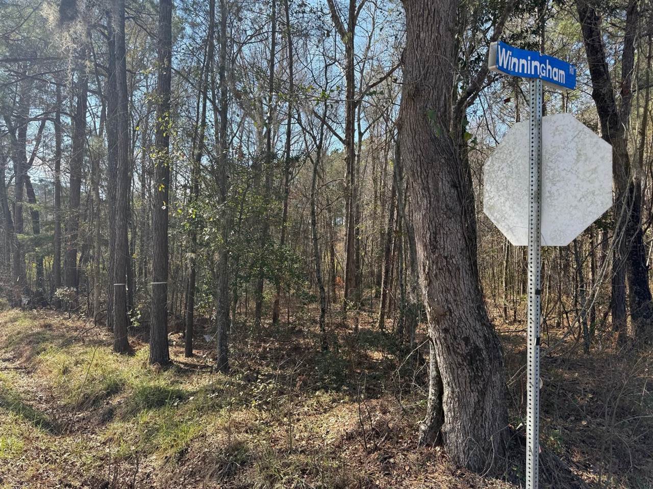 1443 Orangeburg Road, Summerville, SC 29483