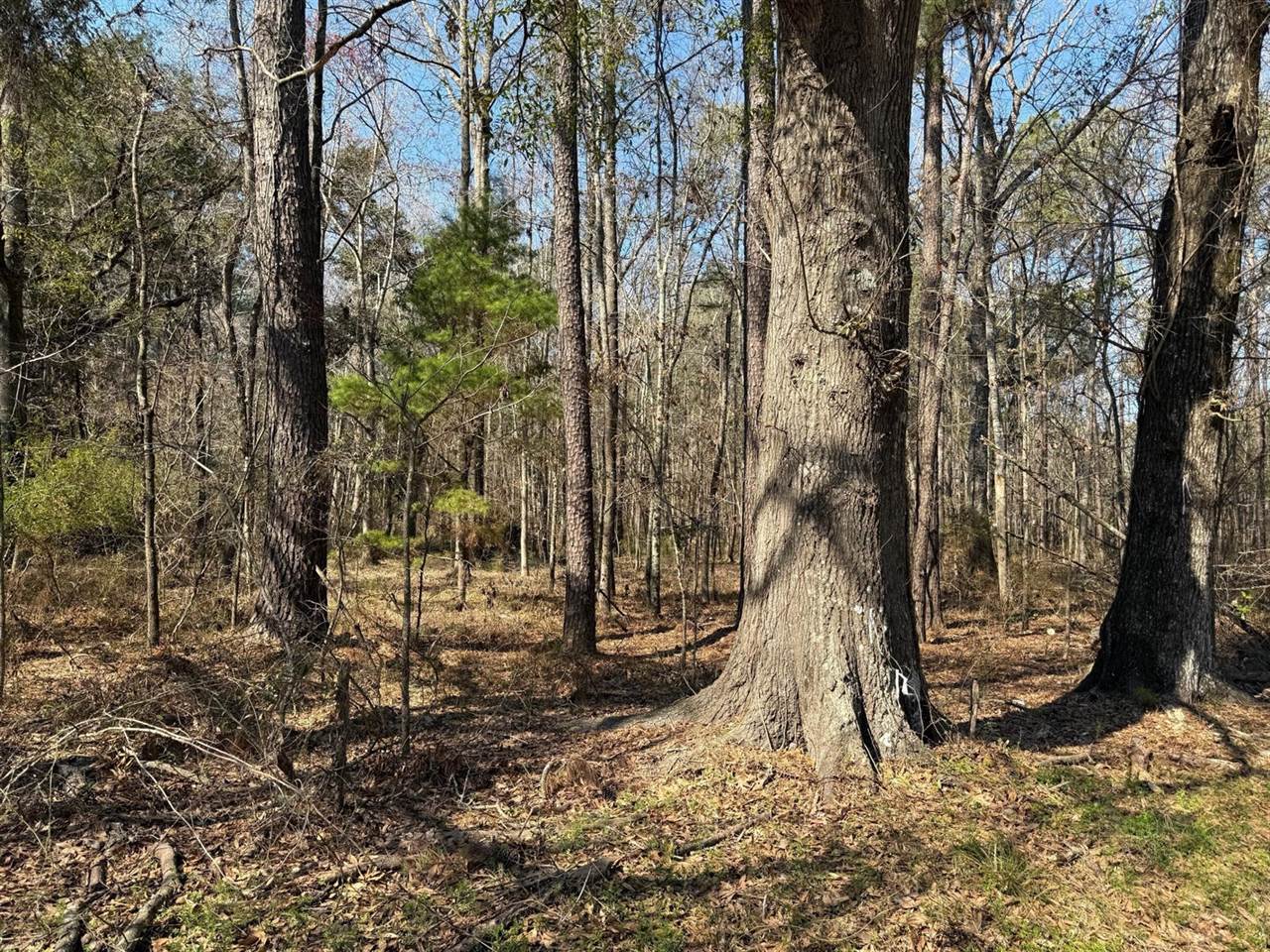 1443 Orangeburg Road, Summerville, SC 29483