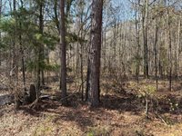 1443 Orangeburg Road, Summerville, SC 29483