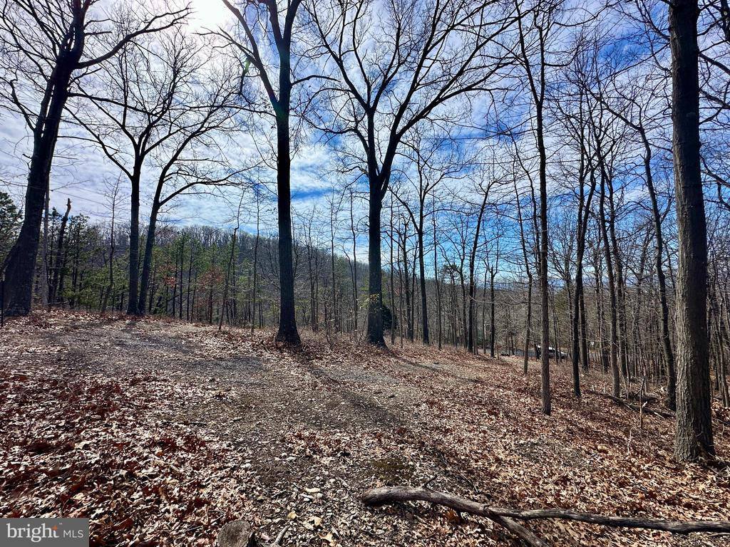 Lot 83 Baldwin Road, Front Royal, VA 22630