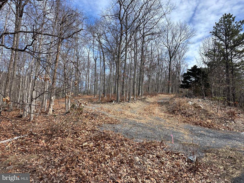 Lot 83 Baldwin Road, Front Royal, VA 22630