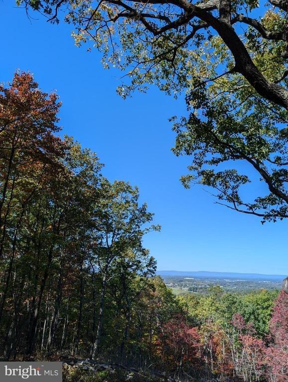 Lot 83 Baldwin Road, Front Royal, VA 22630